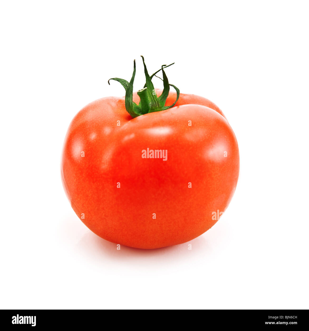 einzigen Tomate isoliert auf weiss Stockfoto