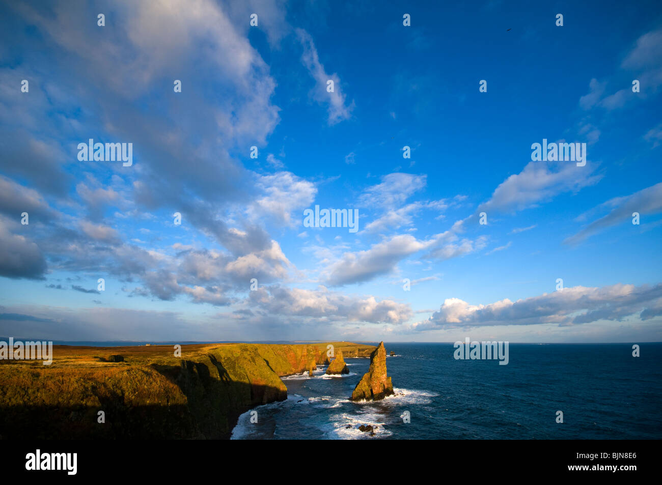 Die Stapel von Duncansby Duncansby Head, Caithness, Schottland, UK Stockfoto