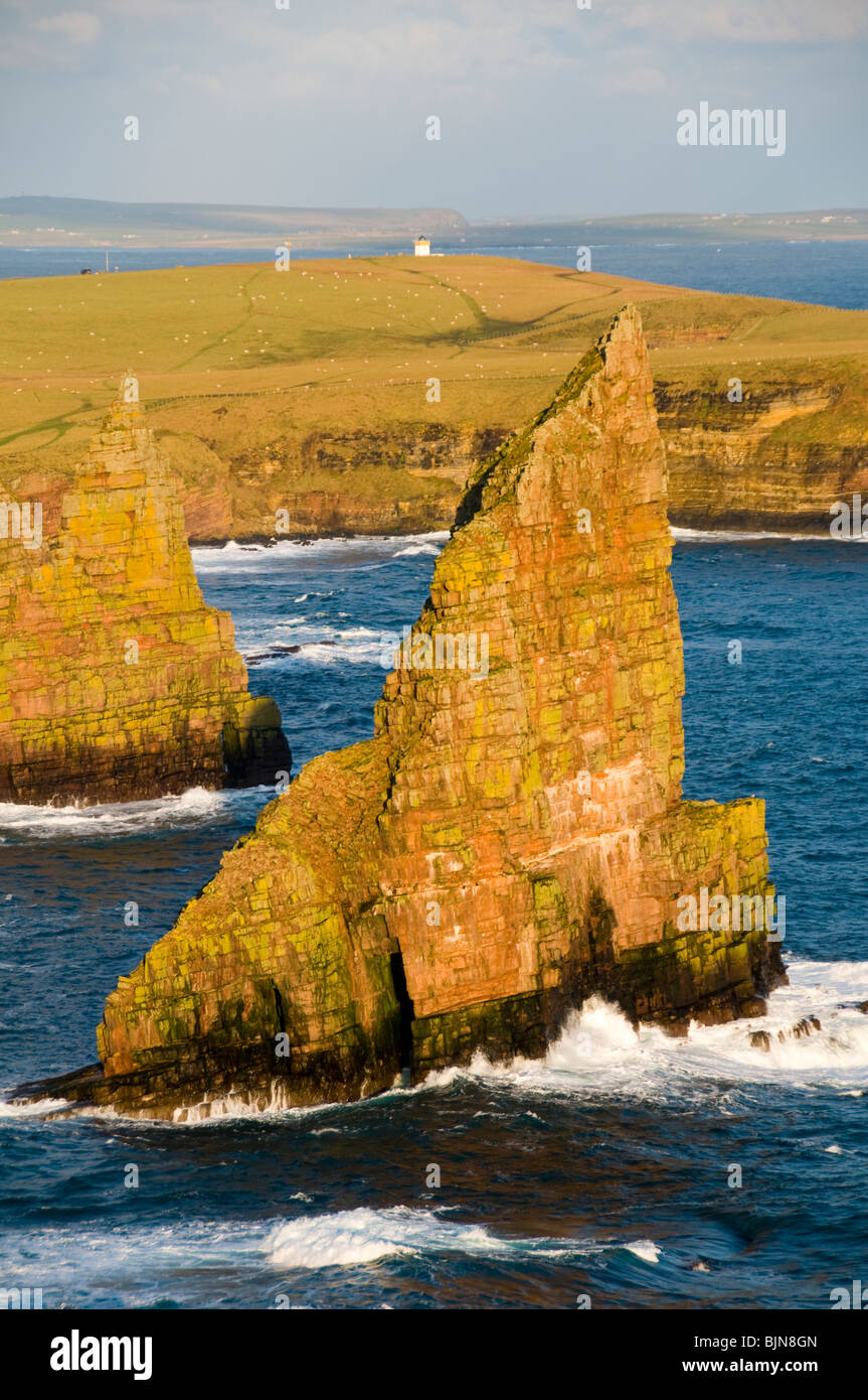 Die Stapel von Duncansby Duncansby Head, Caithness, Schottland, UK Stockfoto