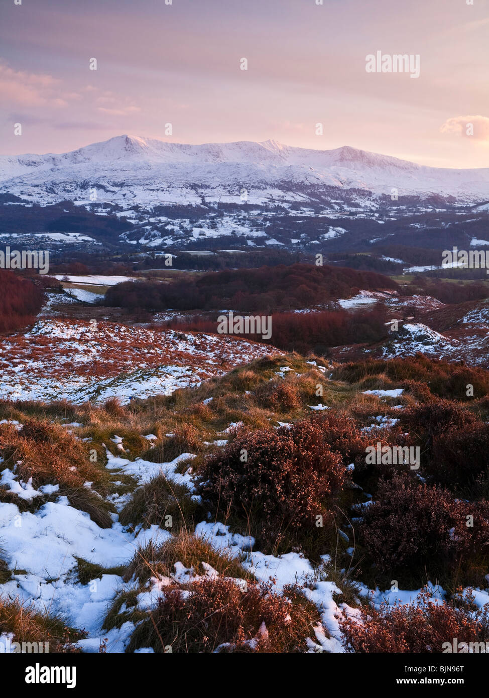 Cadair Idris 893m oder 2930ft hoch. Vom Abgrund zu Fuß in der Nähe von Wales Wales UK Stockfoto