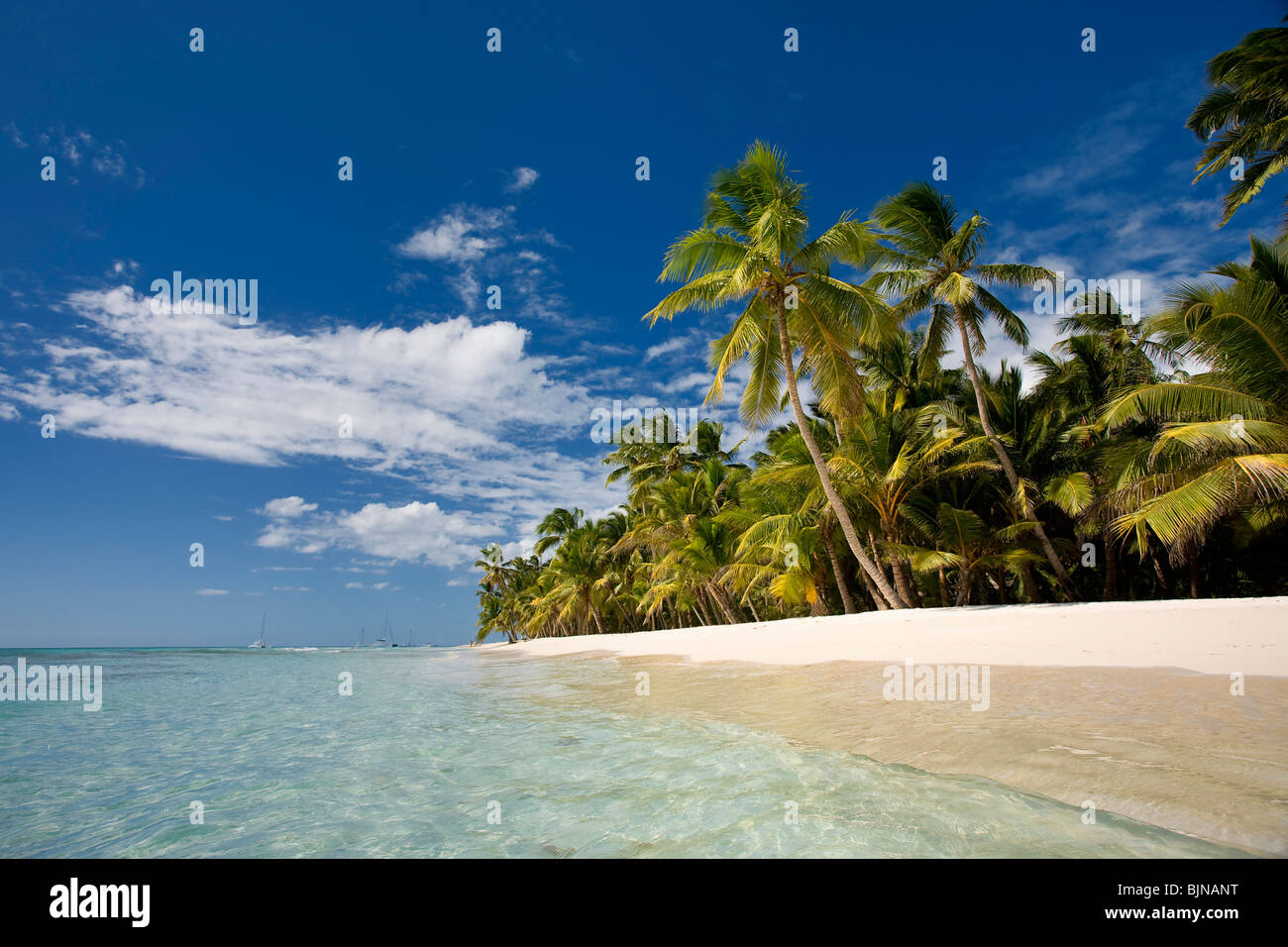 Isla Saona, Dominikanische Republik Stockfoto