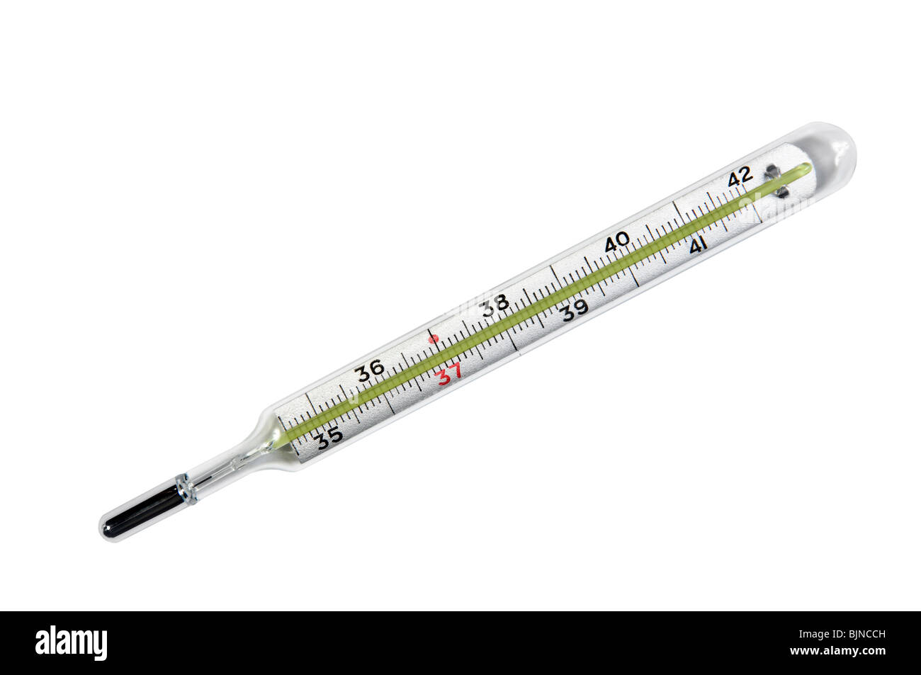 Medizinische Thermometer isoliert auf weißem Hintergrund. Stockfoto