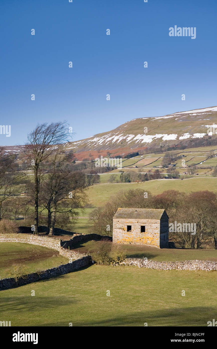 Wensleydale mit Blick auf den schönen Sitz, in der Nähe von Hawes in The Yorkshire Dales National Park, North Yorkshire, UK Stockfoto