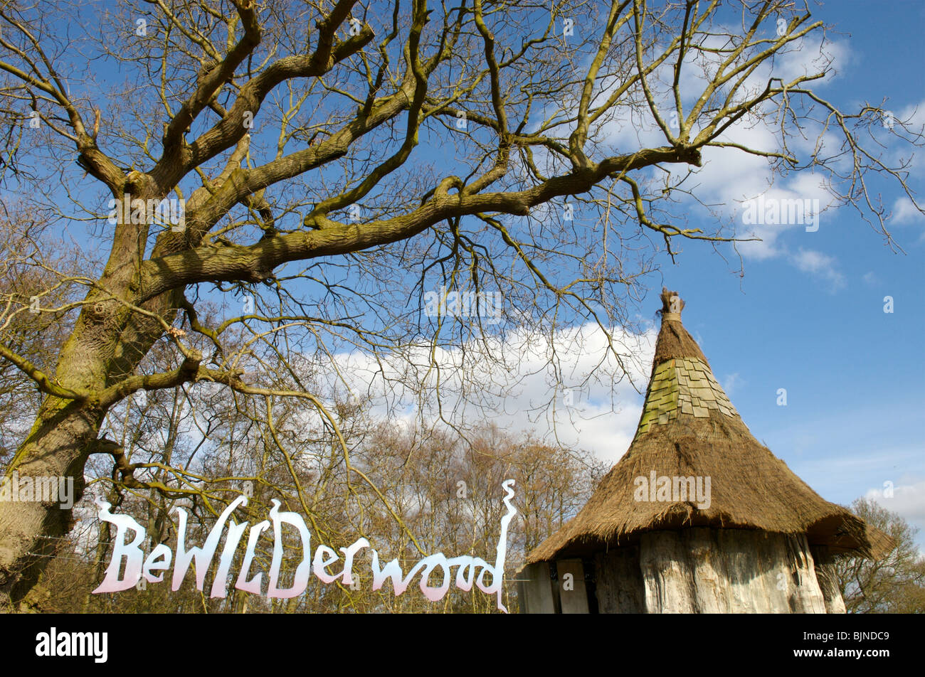Bewilderwood Besucherattraktion in Norfolk Stockfoto