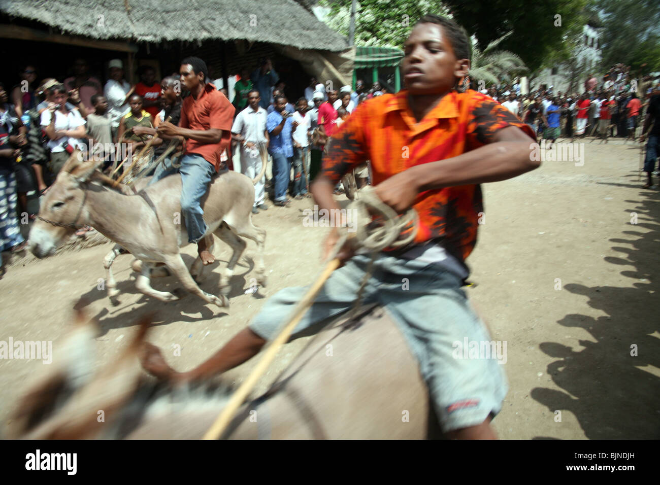 Reiter auf ihren Eseln während des jährlichen Rennens stattfindet während Maulidi, Lamu, Kenia Stockfoto