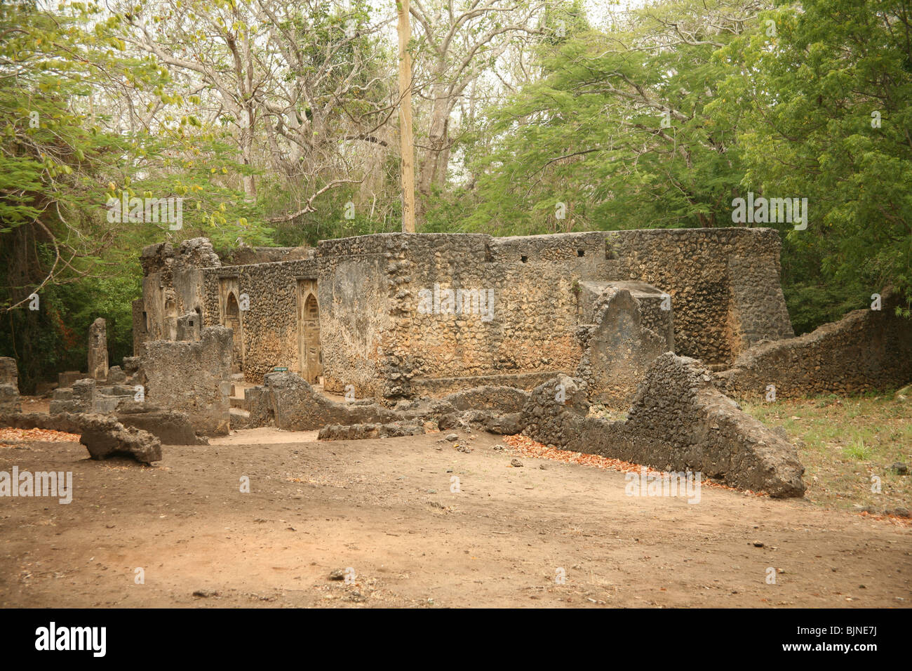Der Gedi Ruinen sind die Überreste einer alten Swahili-Zivilisation in Gedi, einem Dorf in der Nähe der Küste Stadt Malindi in Ken Stockfoto