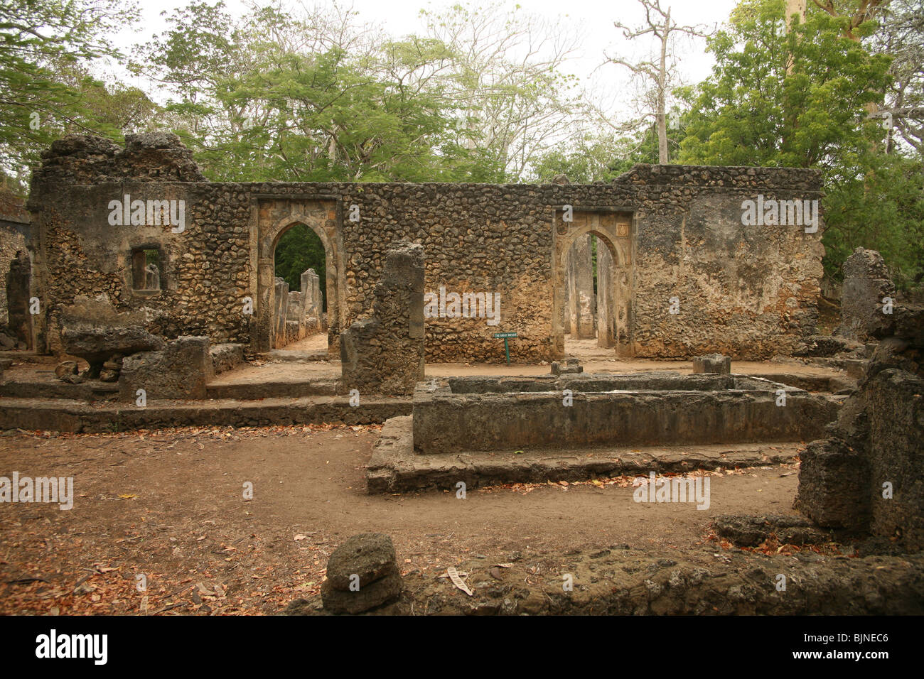 Der Gedi Ruinen sind die Überreste einer alten Swahili-Zivilisation in Gedi, einem Dorf in der Nähe der Küste Stadt Malindi in Ken Stockfoto