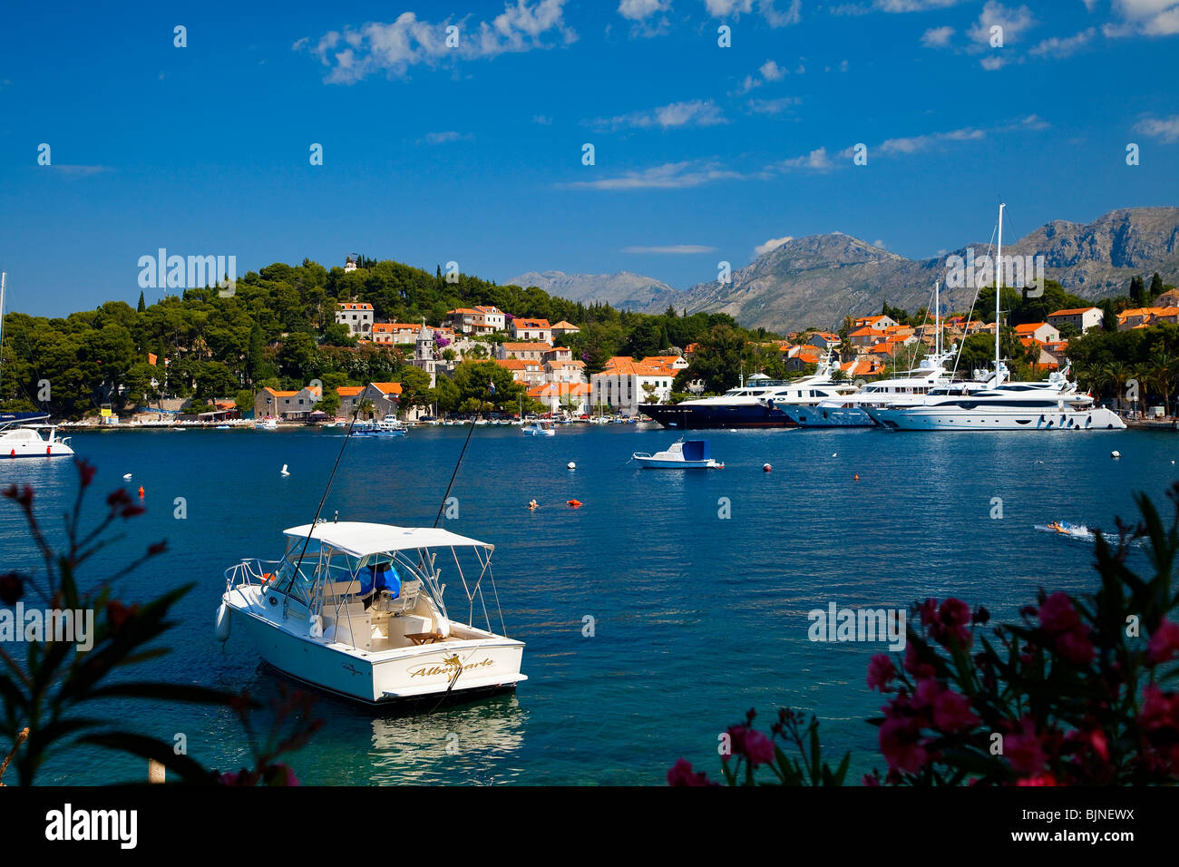 Kroatien, Dalmatien, dalmatinische Küste, Cavtat Stockfoto Kroatien, Dalmatien, dalmatinische Küste, Cavtat Stockfoto