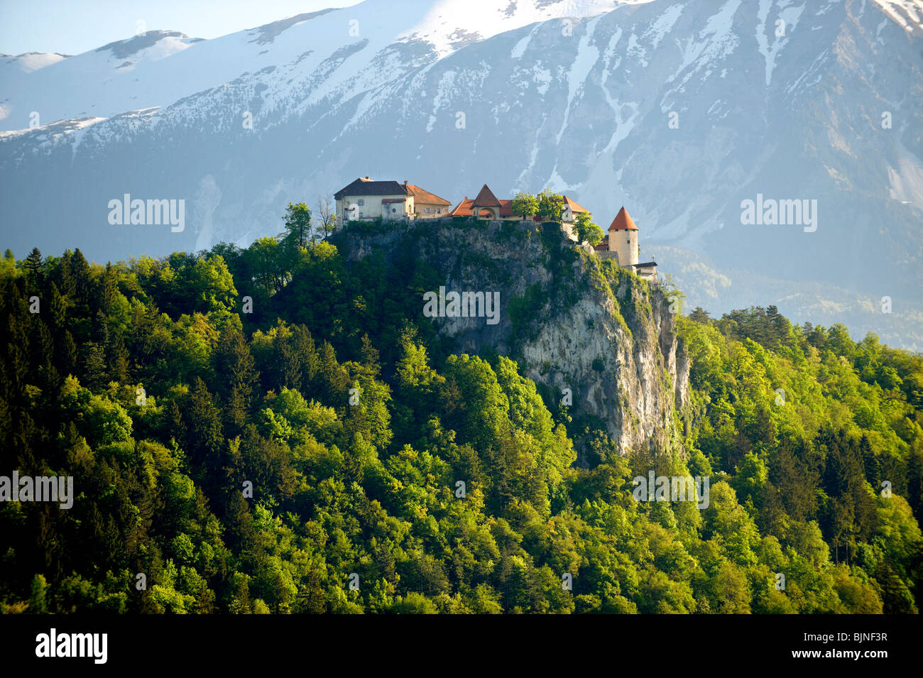 Bled Castle. Bled Slowenien. Stockfoto