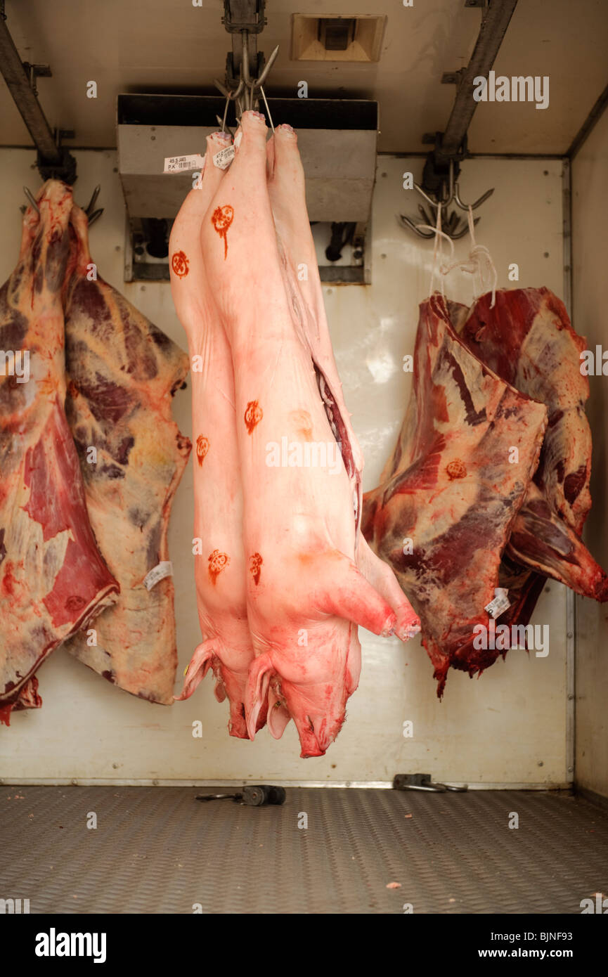 Lieferung vor Ort hergestellte frische walisische Rind- und Schweinefleisch zu einem Metzger in Newport Pembrokeshire Wales UK Stockfoto