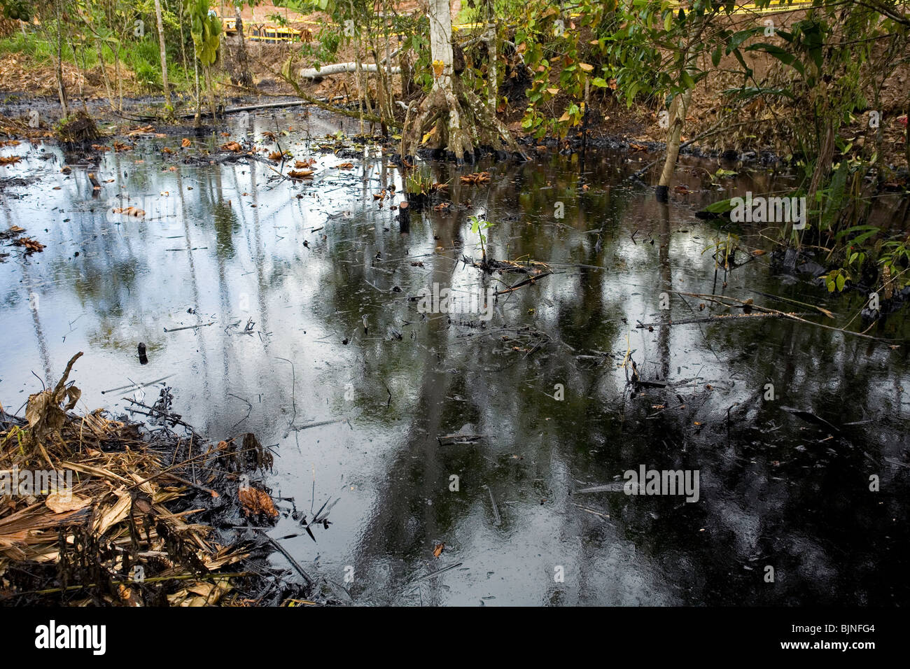Ölaustritt aus einem Brunnen im tropischen Regenwald, Ecuador Stockfoto