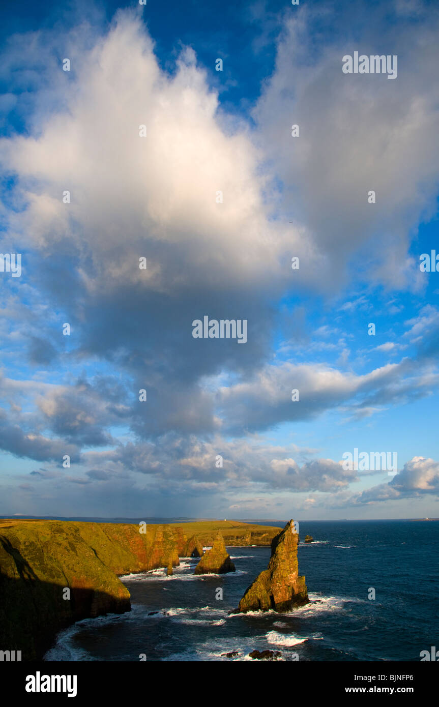 Die Stapel von Duncansby Duncansby Head, Caithness, Schottland, UK Stockfoto