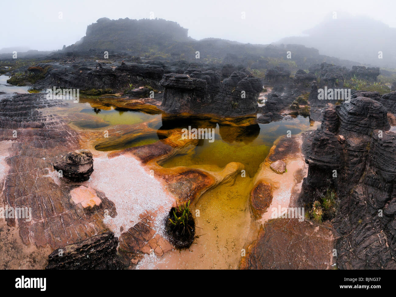 Whirlpools, Naturschwimmbecken aus Steinen und Quarz am Mount Roraima. Stockfoto
