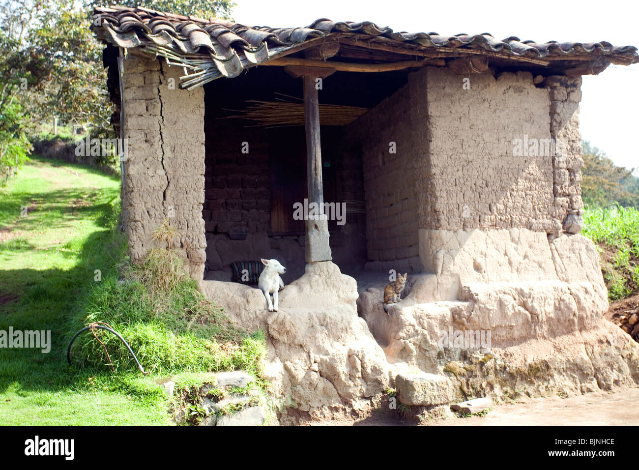 Traditionelle Bauernhaus der Quichua Bewohner des Ilalo-Berges in der Nähe von Quito, Ecuador Stockfoto