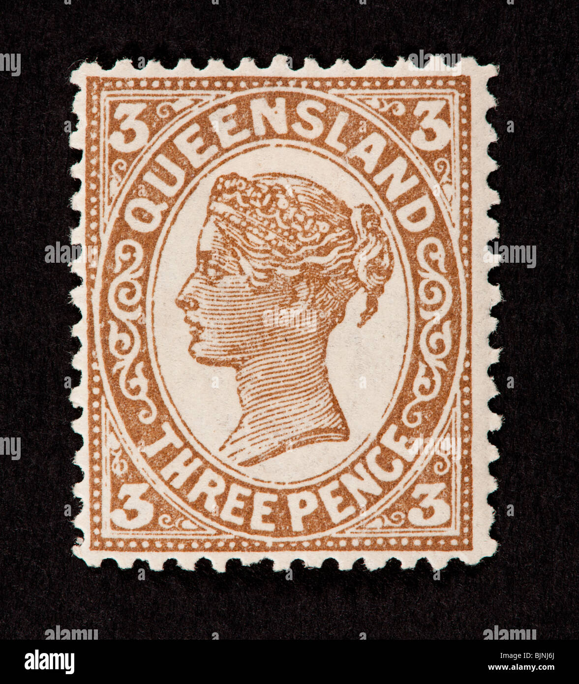 Briefmarke aus Queensland, die Darstellung der Königin Victoria Stockfoto