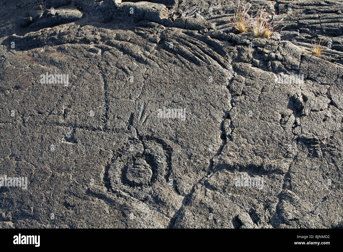 Petroglyph, Mauna Loa Petroglyph Trail Stockfoto
