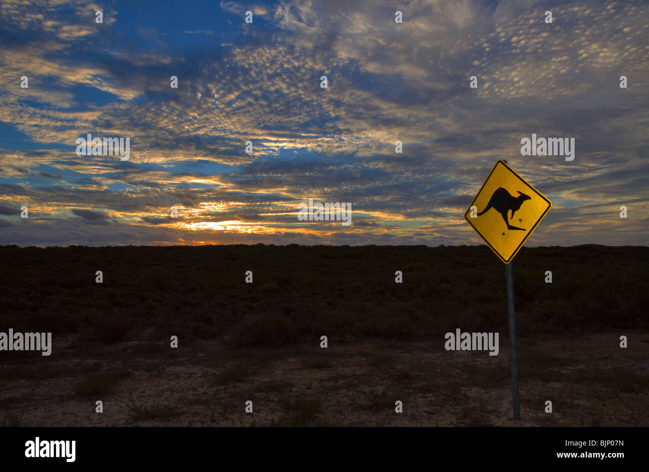 Kangaroo Crossing Schild, Western Australia in der Abenddämmerung Stockfoto