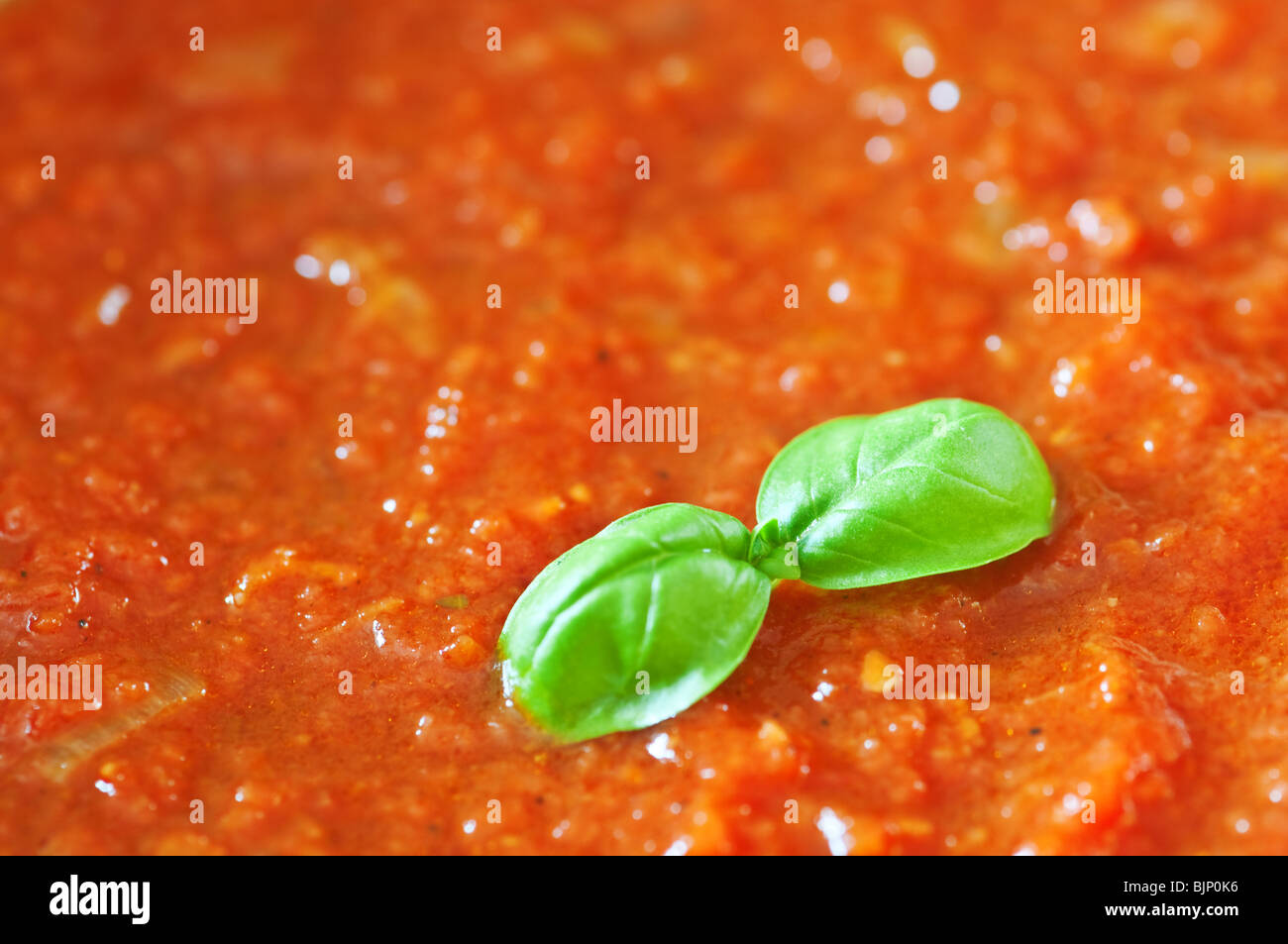 Tomatensauce und Zweig Basilikum Stockfoto