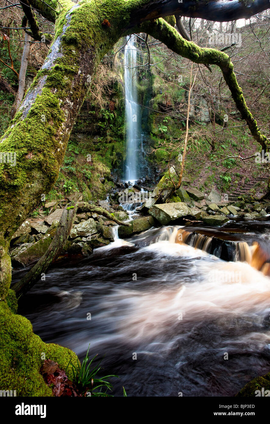 Mallyan Auslauf Wasserfall und West Beck im Winter, in der Nähe von Goathland, North York Moors National Park Stockfoto