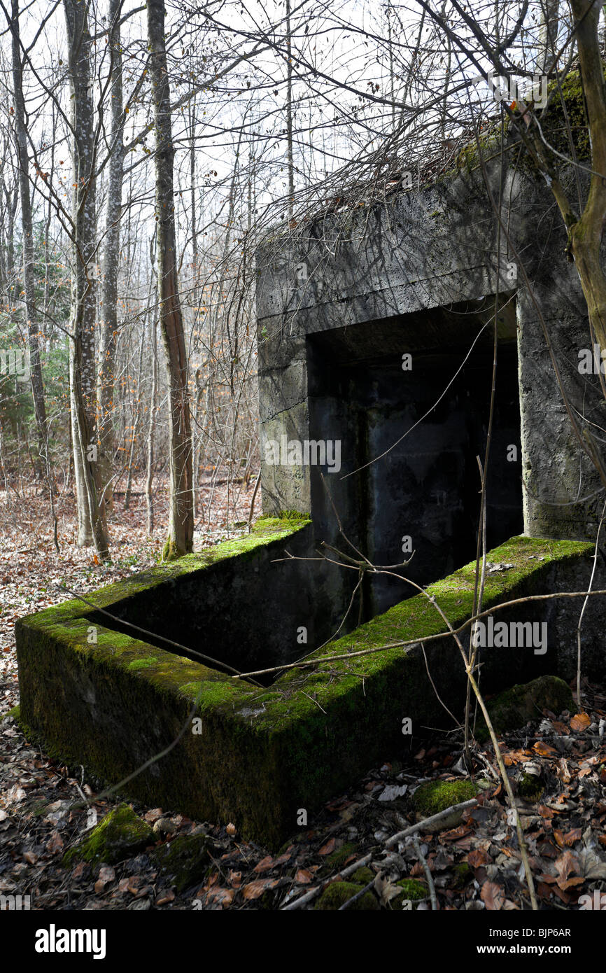 Eine verlassene Weltkrieg Betonbunker im Wald, Ins Schweiz. Charles Lupica Stockfoto