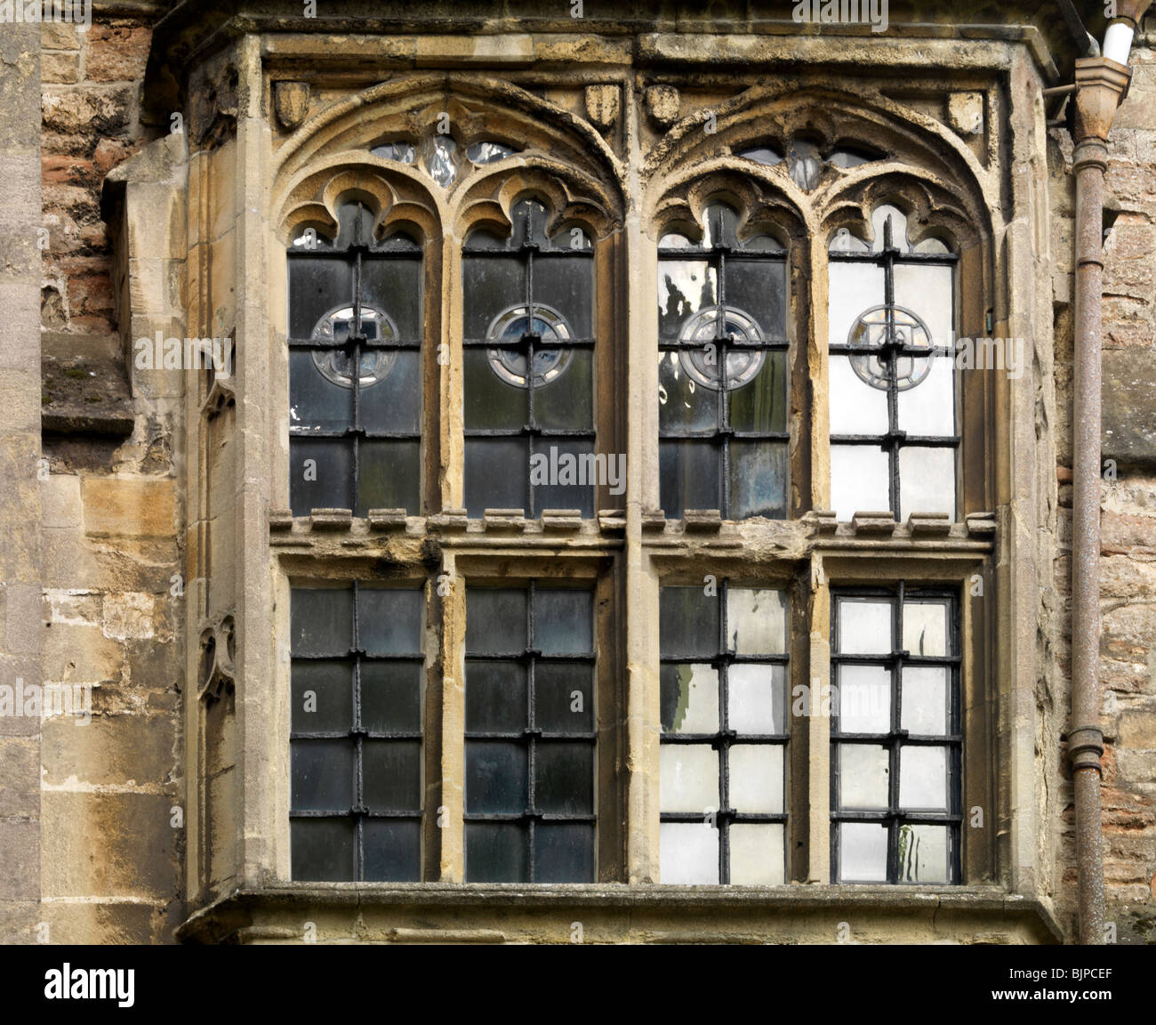 mittelalterlichen Fenster Detail Vikare Hall, Brunnen Stockfoto
