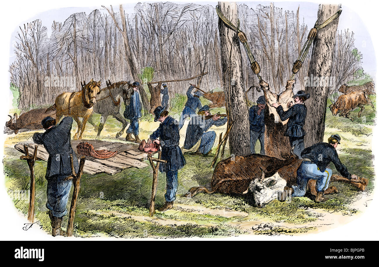 Union Soldaten Schlachten Rinder im Lager, US-Bürgerkrieg. Hand - farbige Holzschnitt Stockfoto