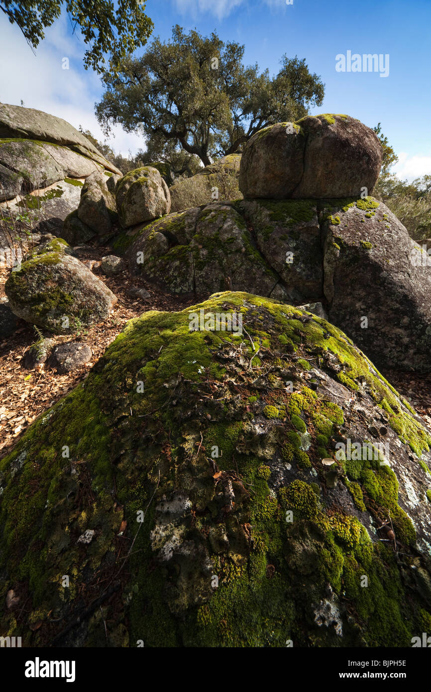 Wandernde felsen Fotos und Bildmaterial in hoher Auflösung Alamy