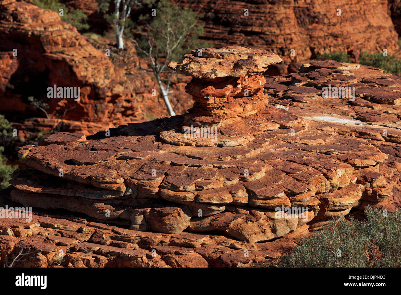 Kings Canyon ist in der George Gill Reichweite des Watarrka National Park in Australien. Stockfoto