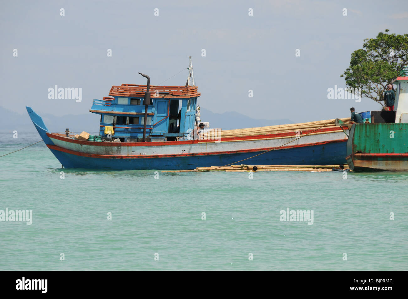 Bambusstäbe werden entladen, direkt in den See und an Land geschwommen vom Boot aus in der Villa 360 Phi Phi Island Thailand günstig. Stockfoto