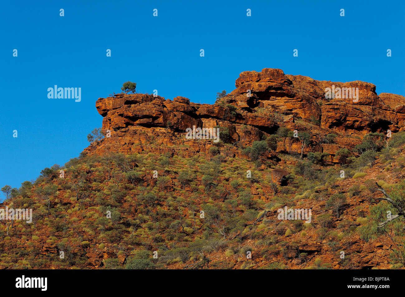 Kings Canyon ist in der George Gill Reichweite des Watarrka National Park in Australien. Stockfoto