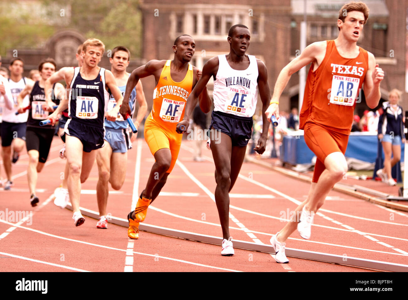 Texas Longhorn führt die Packung um die dritte Kurve, College Männer 4 x 800 Championship of America--beendet 1. in 7:23.51 Stockfoto