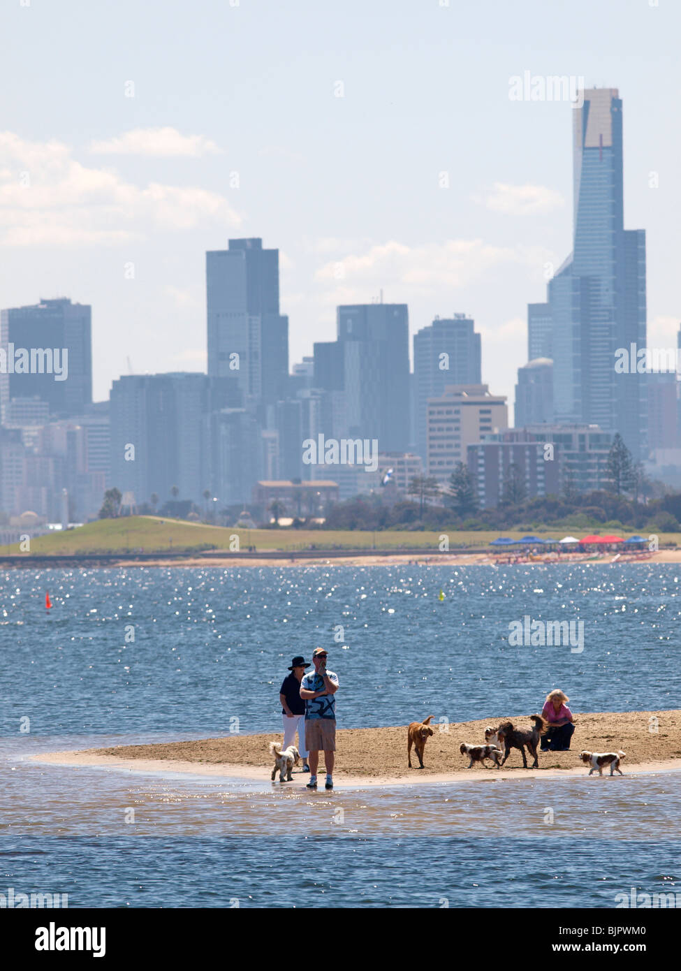 An der Küste von Brighton auf Port Phillip Bay MIT MENSCHEN UND HUNDE auf SANDBANK mit Skyline von Melbourne am Horizont VICTORIA AUSTRALIEN Stockfoto