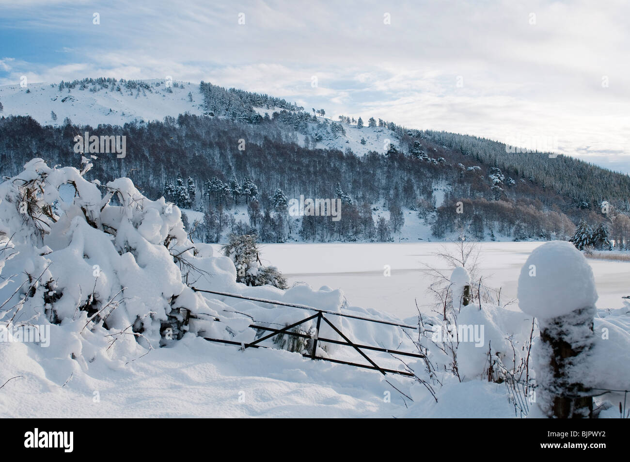 Ein Tor tief im Schnee durch die gefrorenen Loch Pityoulish, Schottland Stockfoto