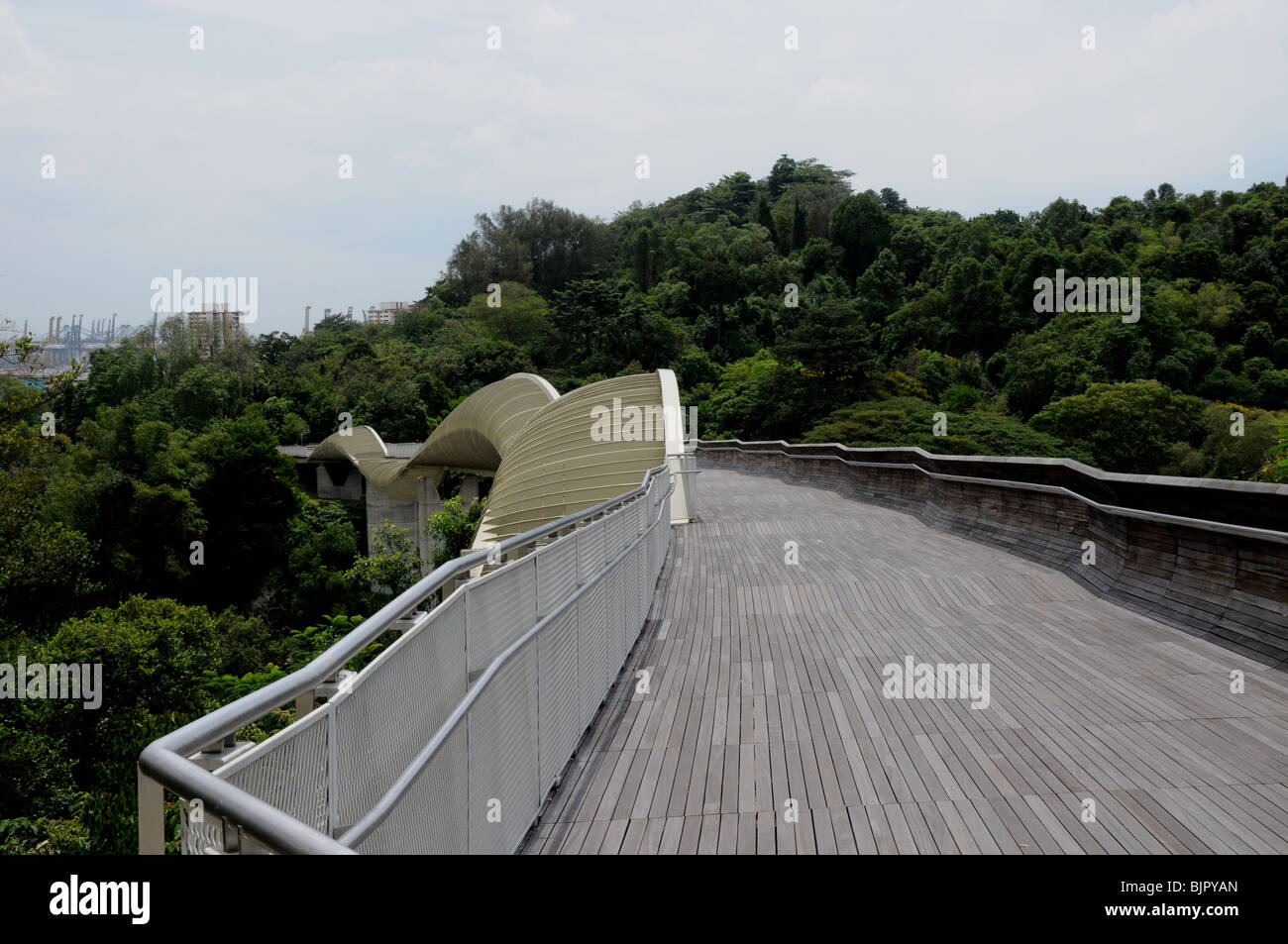 Die Henderson Waves Fußgängerbrücke, einer der weniger bekannten Stücke von phantasievollem Design in Singapur. Stockfoto