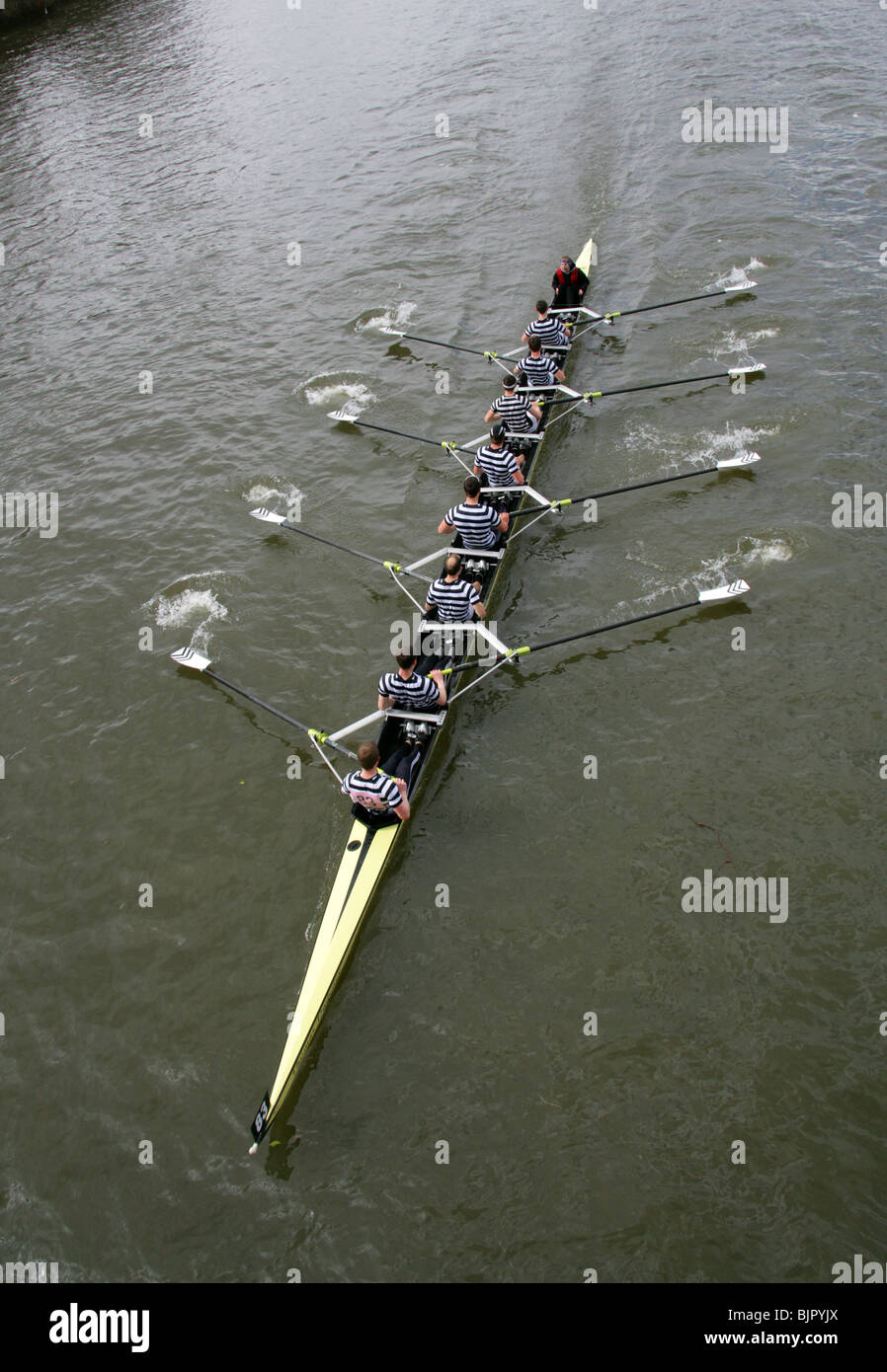 Der Dublin University Rowing Team im Kopf des Flusses Rennen 2010. Ihre endgültige Position war 136. von 400 Mitbewerbern. Stockfoto