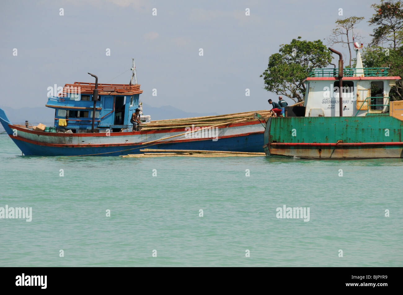 Bambusstäbe werden entladen, direkt in den See und an Land geschwommen vom Boot aus in der Villa 360 Phi Phi Island Thailand günstig. Stockfoto