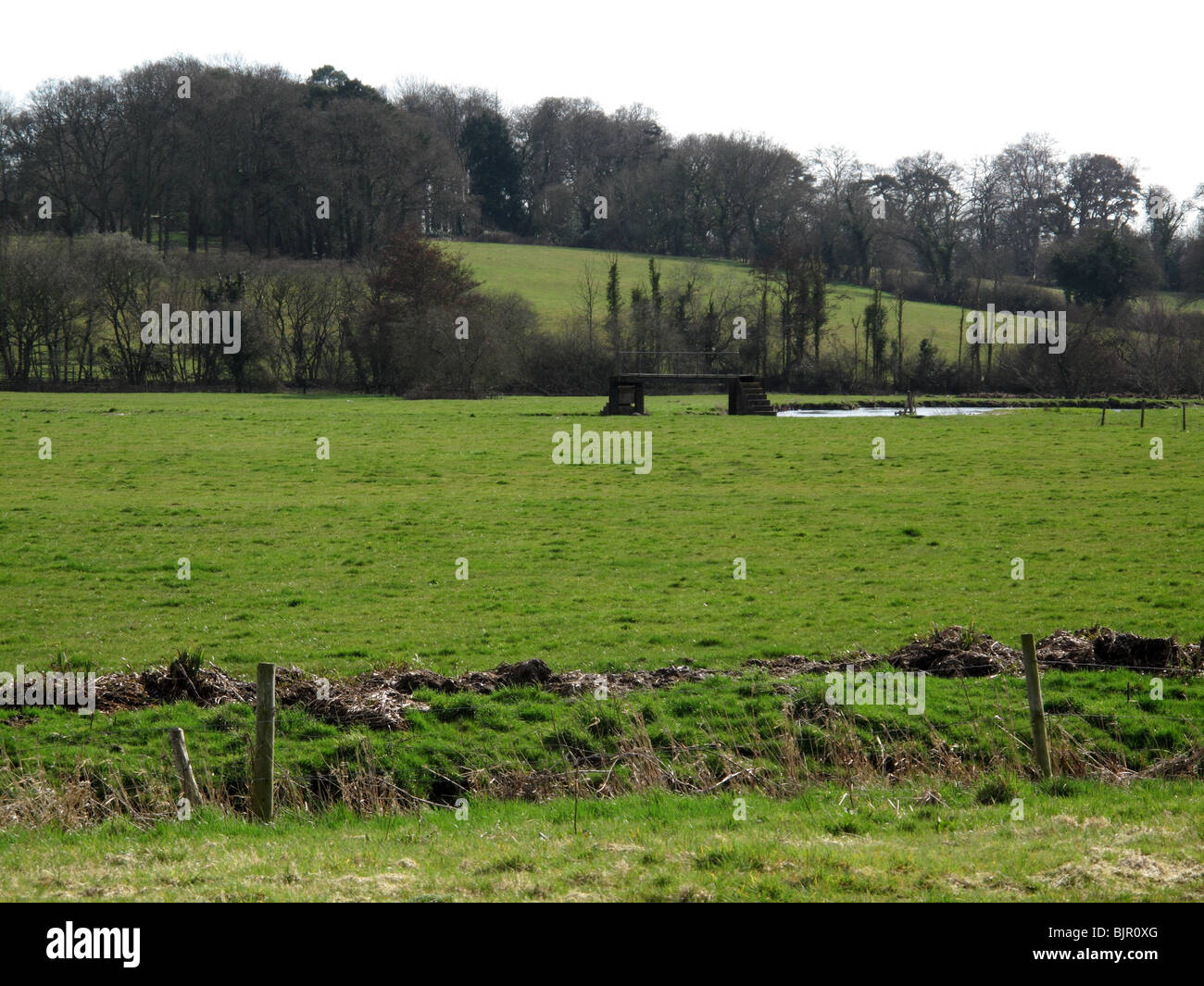 grüne Felder Stockfoto