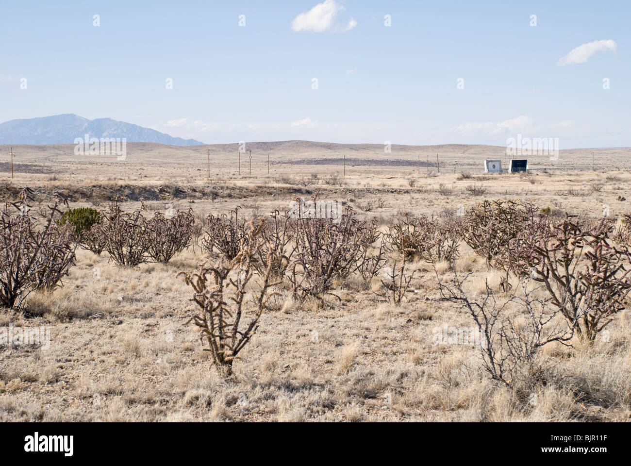 Eine alte Raketenbasis sitzt unter der Cholla Cactus in der desolaten südliche Wüste von New Mexico. Stockfoto