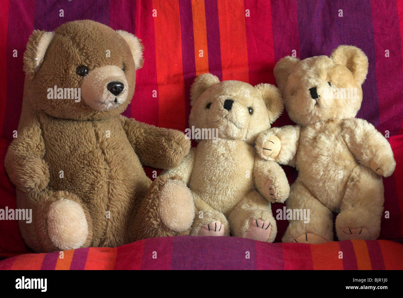Teddys im Sessel. März 2010 Stockfoto