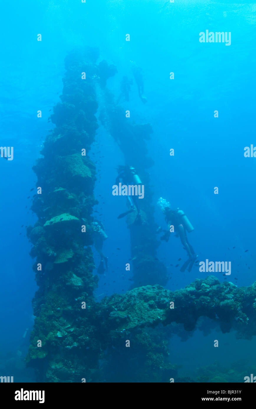 Zwei Taucher schwimmen, Unterwasser-Blick Stockfoto