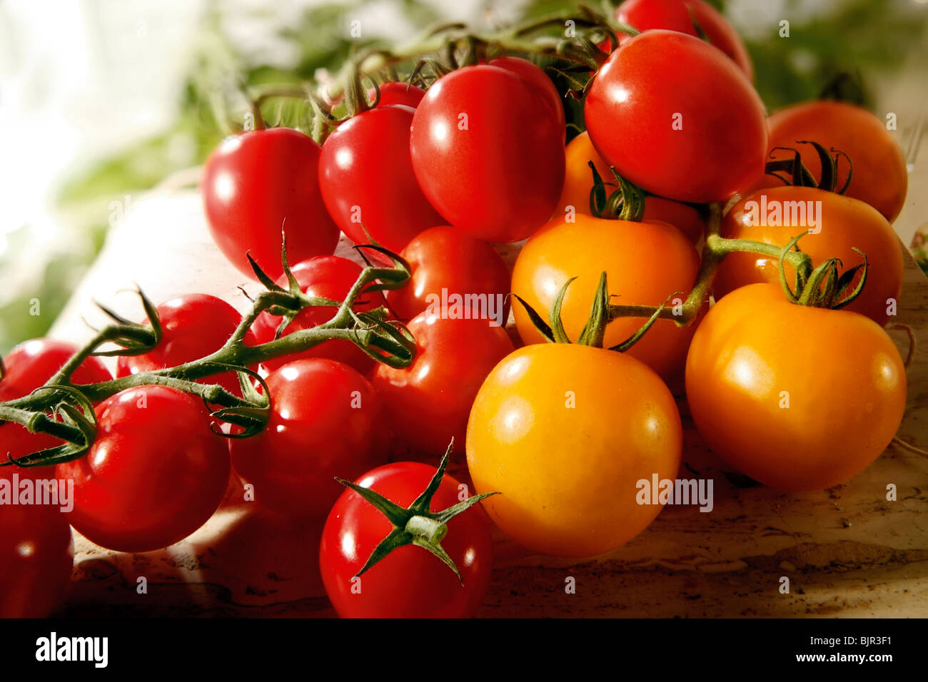 Auswahl von frischen roten und gelben Tomaten und Eiertomaten Food-Fotografie Stockfoto