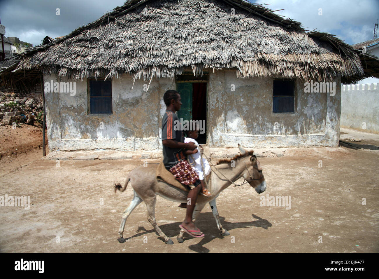 Esel und Reiter vorbei an einem traditionellen Haus Lamu Stockfoto