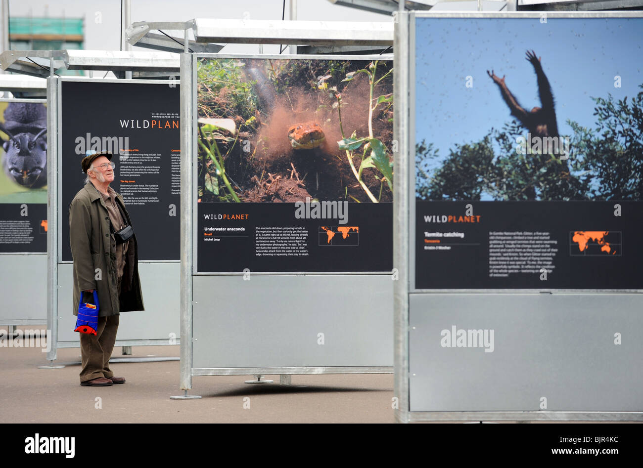 Wild Planet ist eine kostenlose Open-Air-Ausstellung tourt Städte in ganz Großbritannien an Brighton Strandpromenade bis September 2010 ist Stockfoto