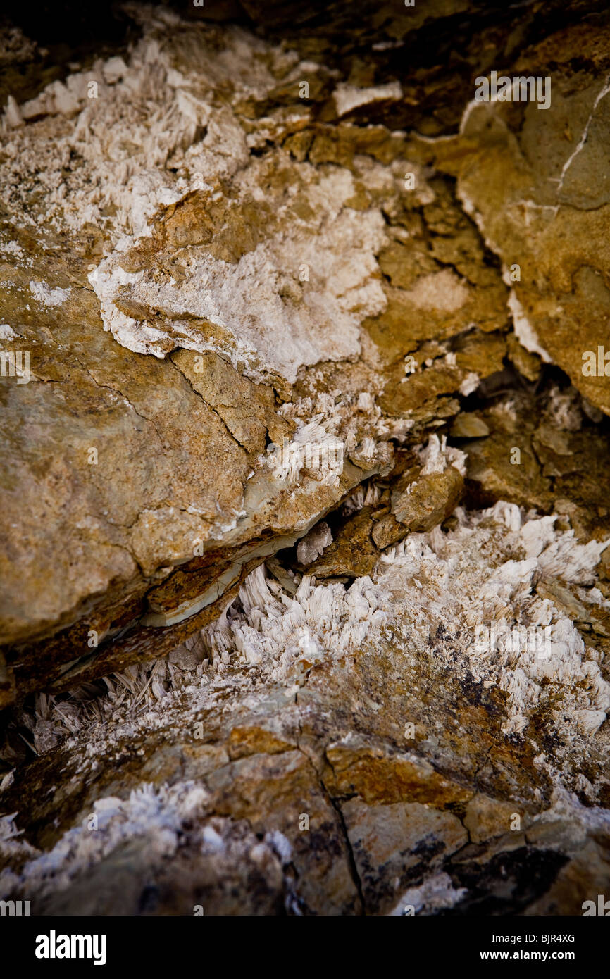 Nahaufnahme von Borax (Rhyolith) Kristall Einlagen in den Kalksteinen Canyonwänden Golden Canyon in Death Valley Nationalpark Stockfoto