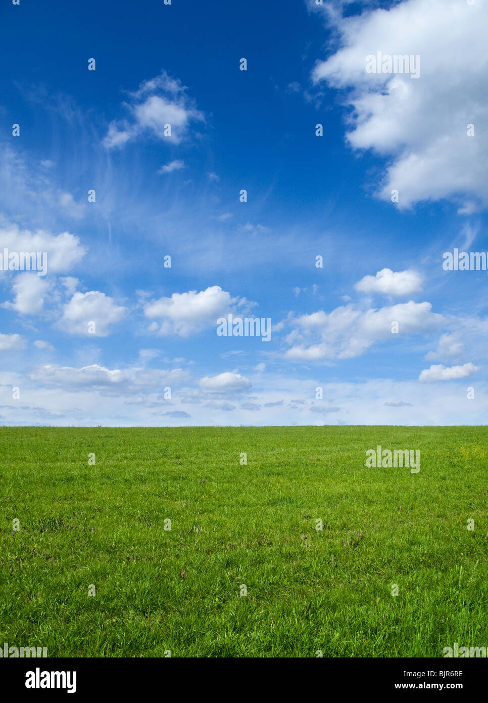 Landschaft - grünes Feld und blauer Himmel Stockfoto