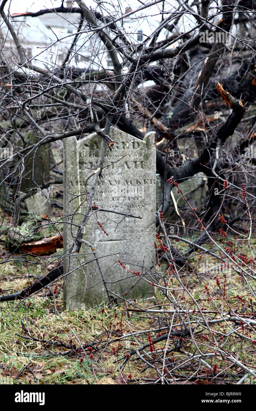 Alten Grabstein auf einem Friedhof nach einem späten Winter Windsturm Stockfoto