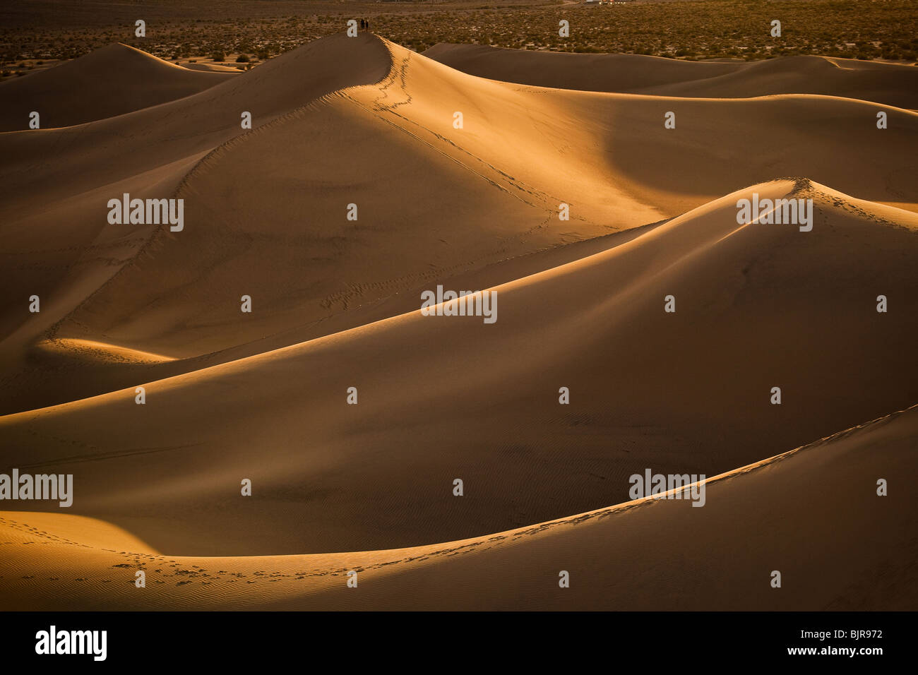 Sanddünen bei Stovepipe Wells in Death Valley Nationalpark, Kalifornien, USA. Stockfoto