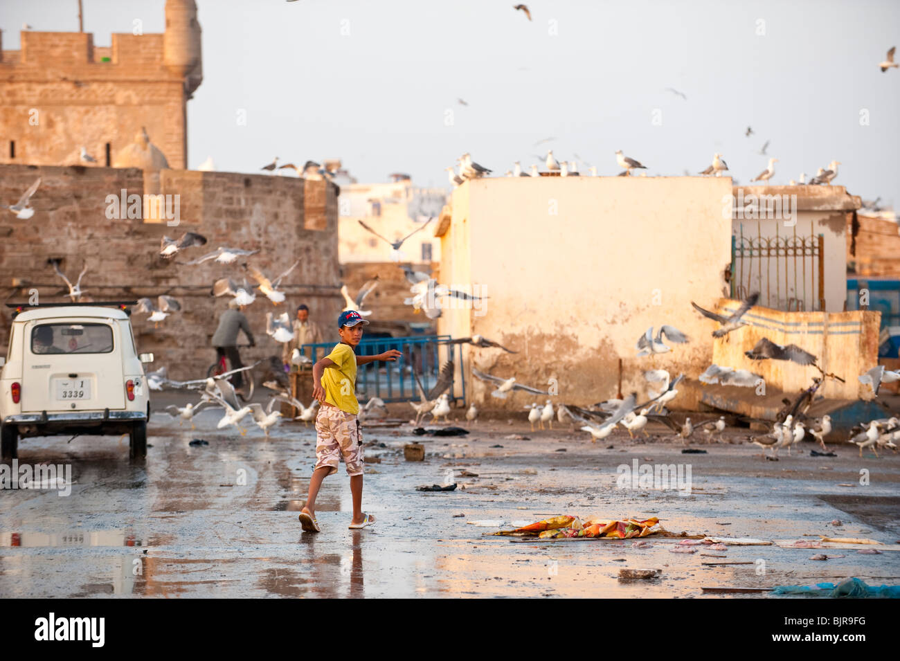 Dies ist ein Bild eines marokkanischen jungen ein Spaziergang durch den Hafen oder Essaouira nach die Fischmärkten geschlossen haben. Stockfoto