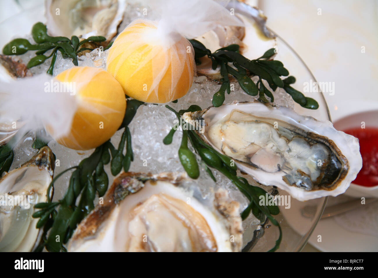 Amtsenthebung Stockfoto