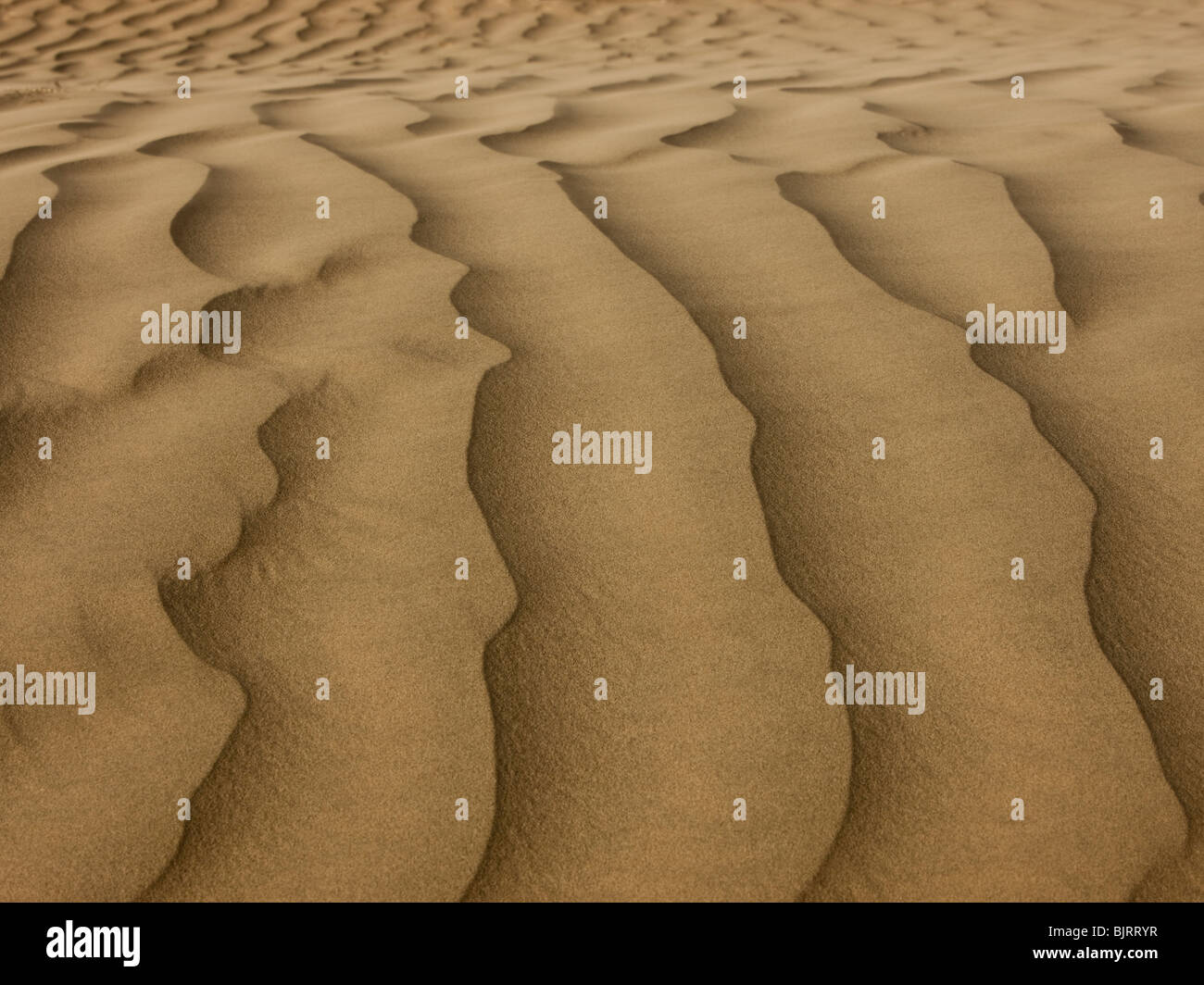 USA, Utah, Little Sahara, Sanddünen, full frame Stockfoto